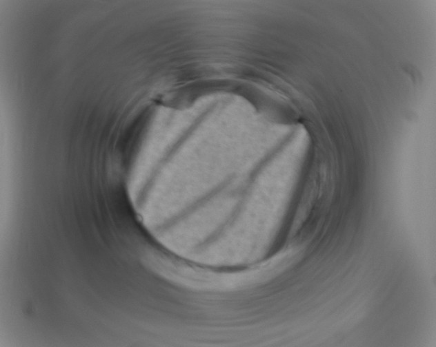 X0000113590048200910161852