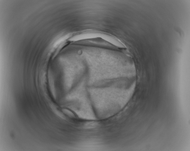 X0000113590050200910161852