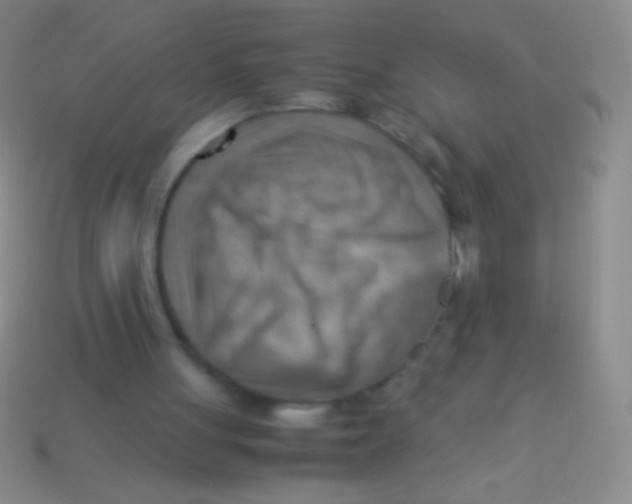 X0000113590051200910161852