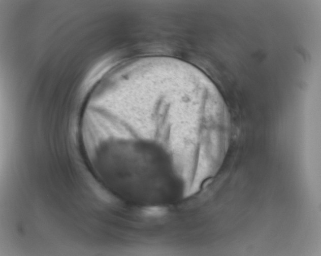 X0000113590053200910161852