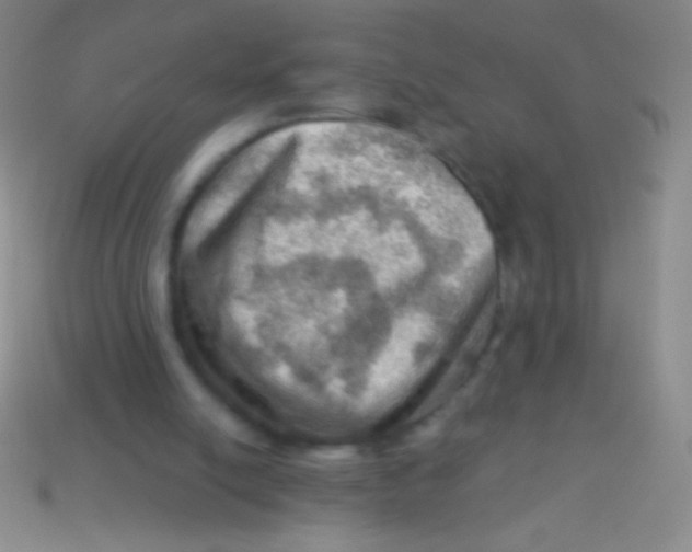 X0000113590054200910161852