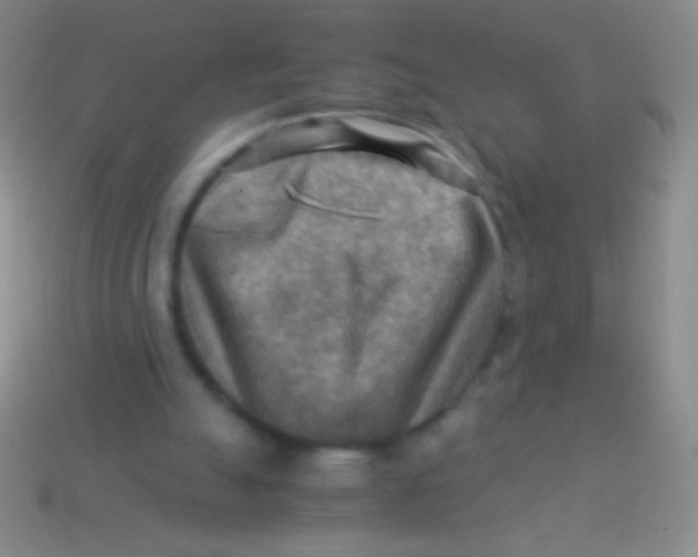 X0000113590055200910161852