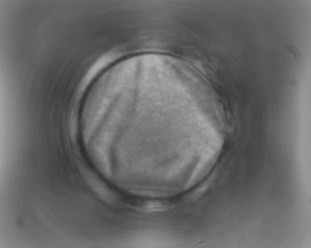 X0000113590056200910161852