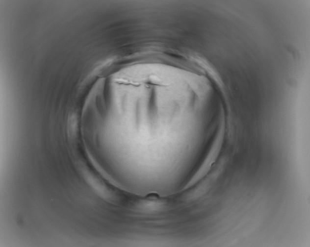 X0000113590057200910161852