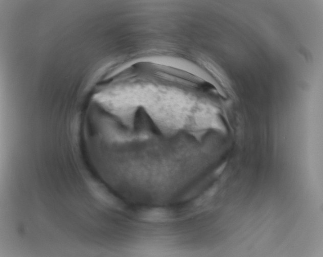 X0000113590058200910161852
