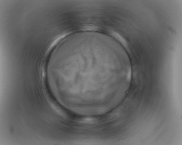 X0000113590059200910161852