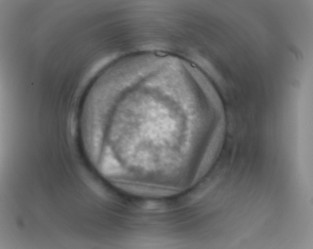 X0000113590060200910161852