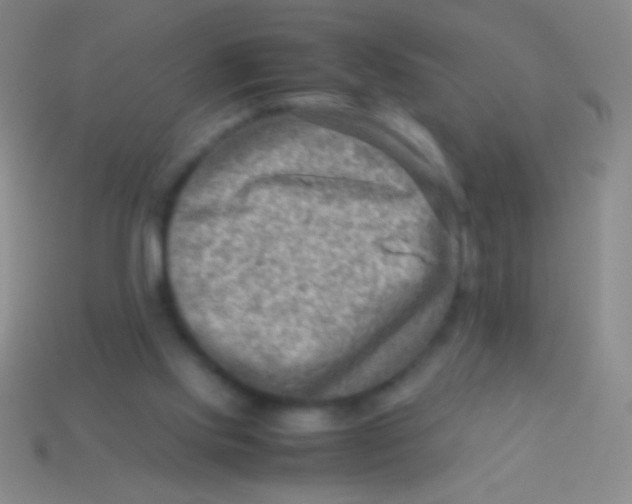 X0000113590061200910161852