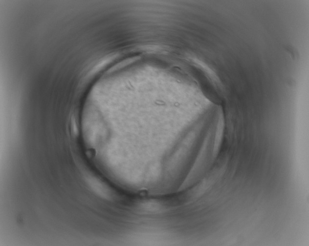 X0000113590062200910161852