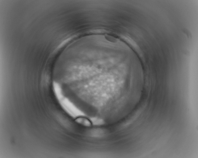 X0000113590063200910161852