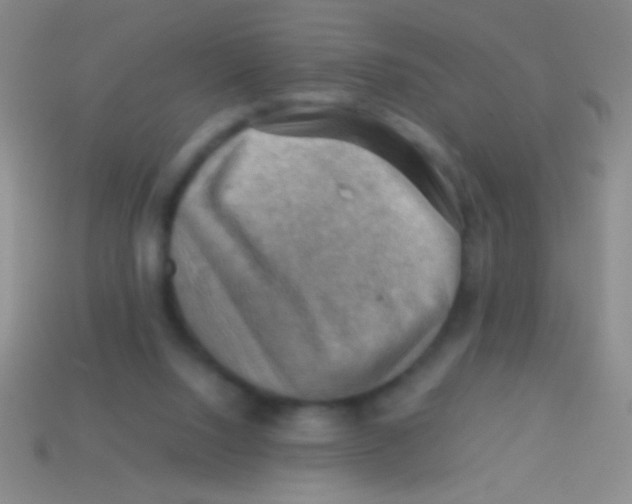 X0000113590064200910161852