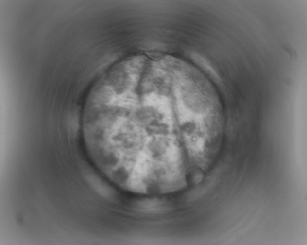 X0000113590065200910161852