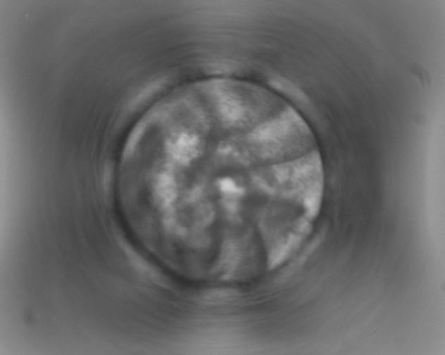 X0000113590066200910161852