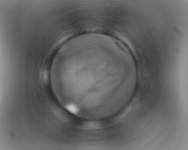 X0000113590067200910161852