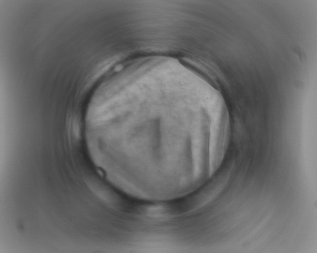 X0000113590068200910161852