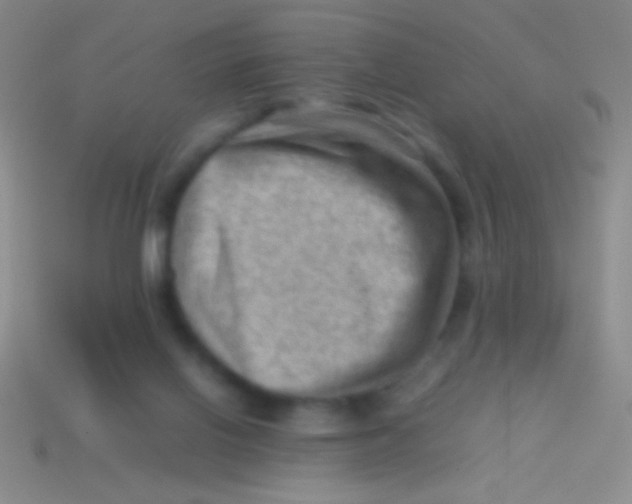 X0000113590070200910161852
