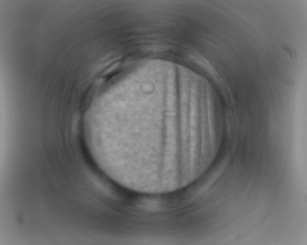 X0000113590071200910161852