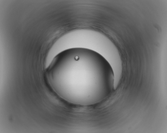 X0000113590072200910161852