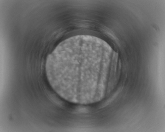 X0000113590073200910161852