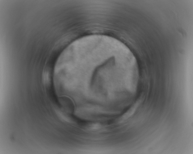 X0000113590074200910161852