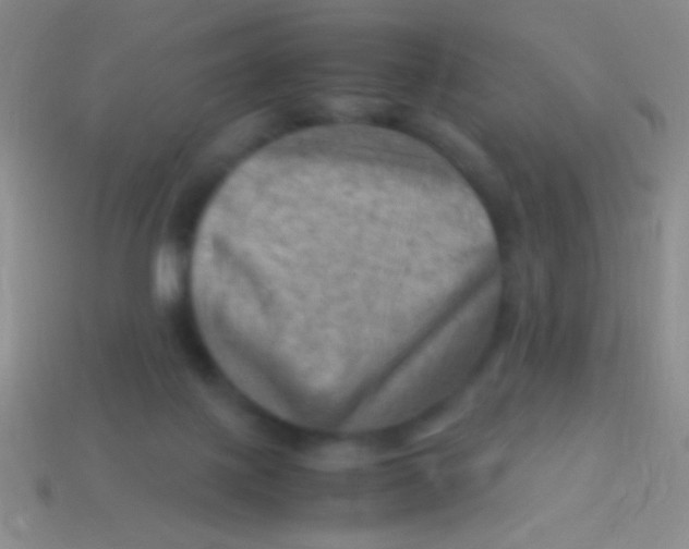 X0000113590075200910161852