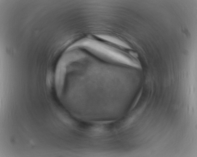 X0000113590076200910161852