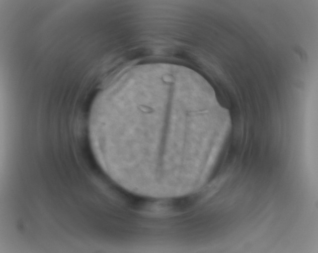 X0000113590078200910161852