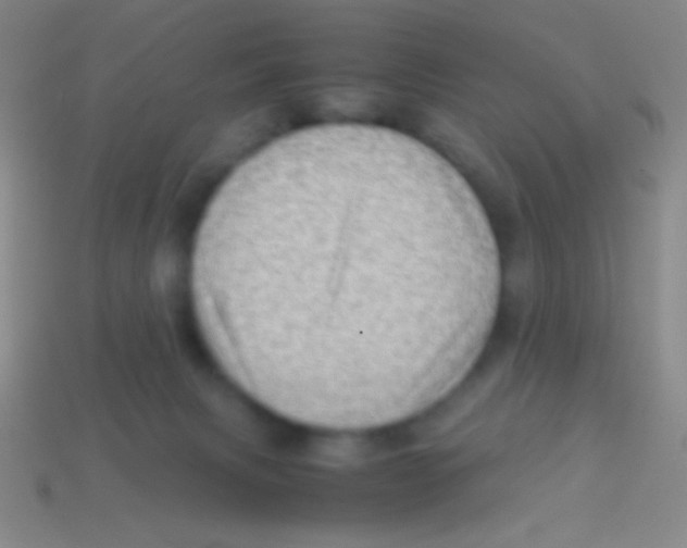 X0000113590079200910161852