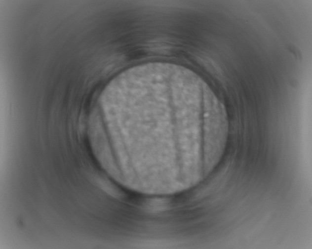 X0000113590081200910161852