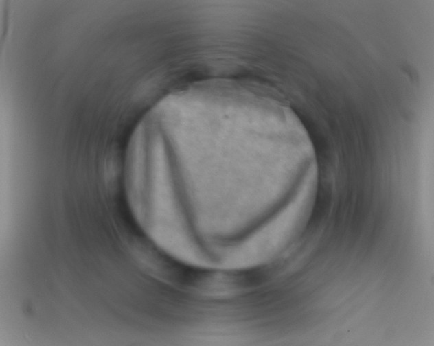 X0000113590082200910161852