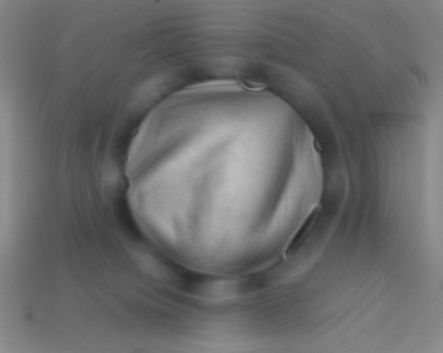 X0000113590084200910161852