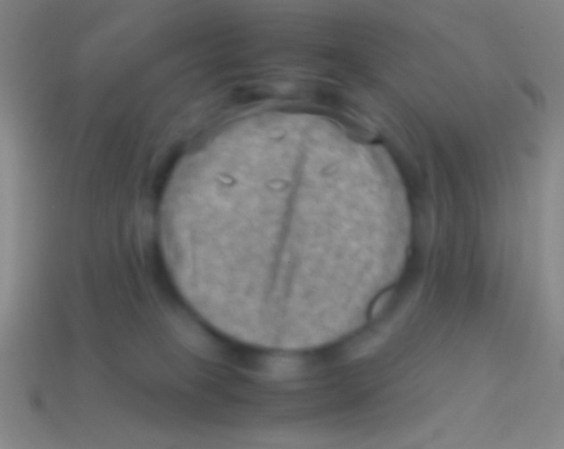 X0000113590085200910161852