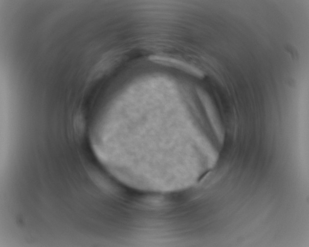 X0000113590086200910161852