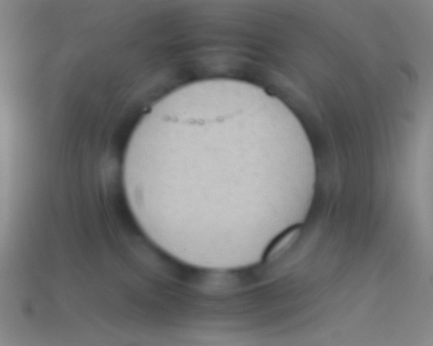 X0000113590087200910161852