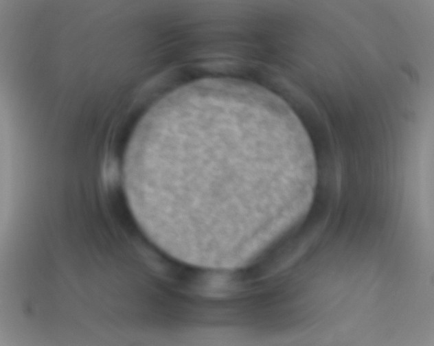 X0000113590089200910161852