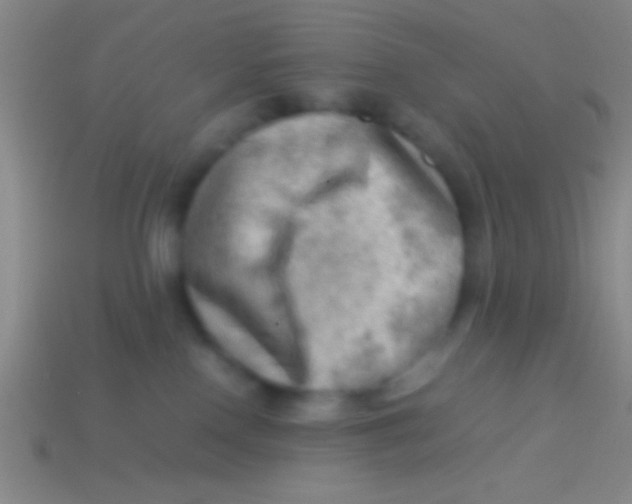 X0000113590090200910161852