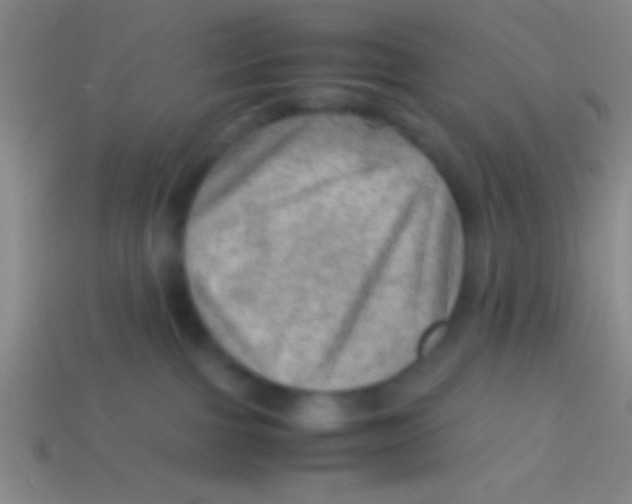 X0000113590091200910161852