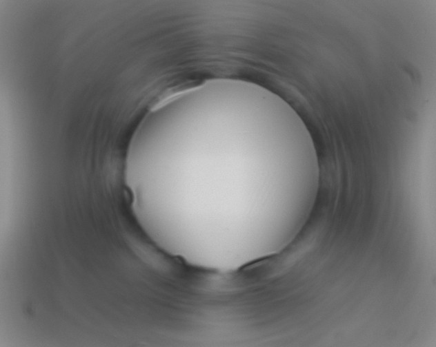 X0000113590092200910161852