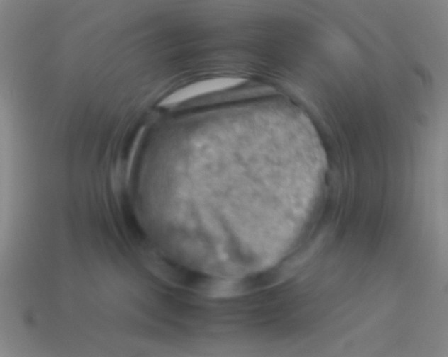 X0000113590093200910161852