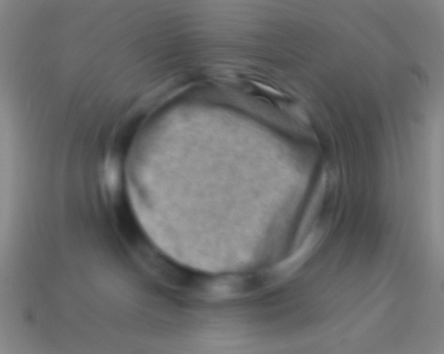 X0000113590094200910161852