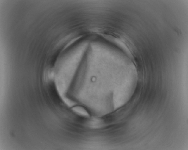 X0000113590095200910161852
