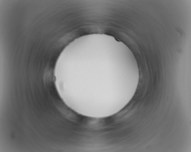 X0000113590096200910161852