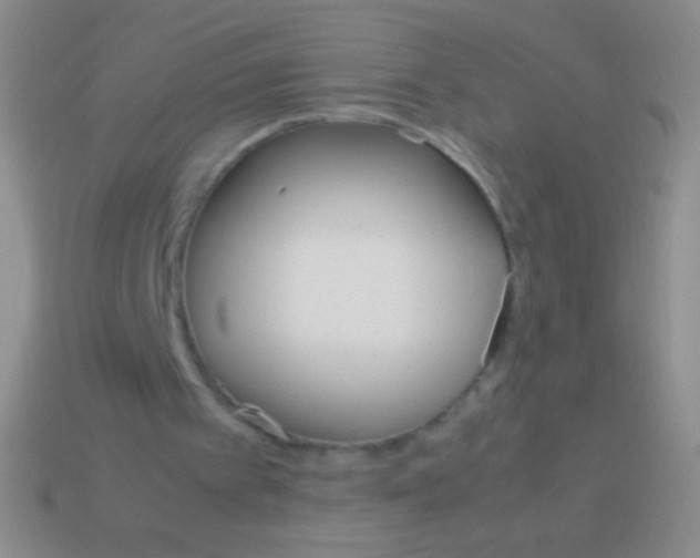 X0000113590097200910161852