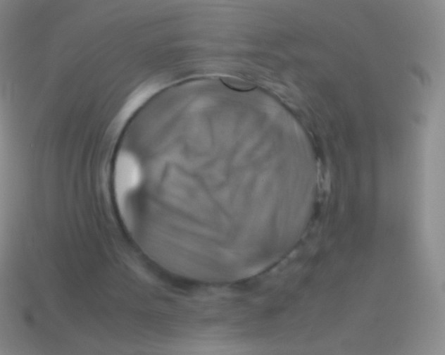 X0000113590099200910161852