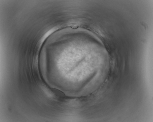 X0000113590100200910161852