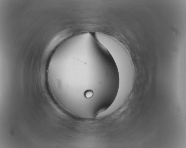 X0000113590101200910161852