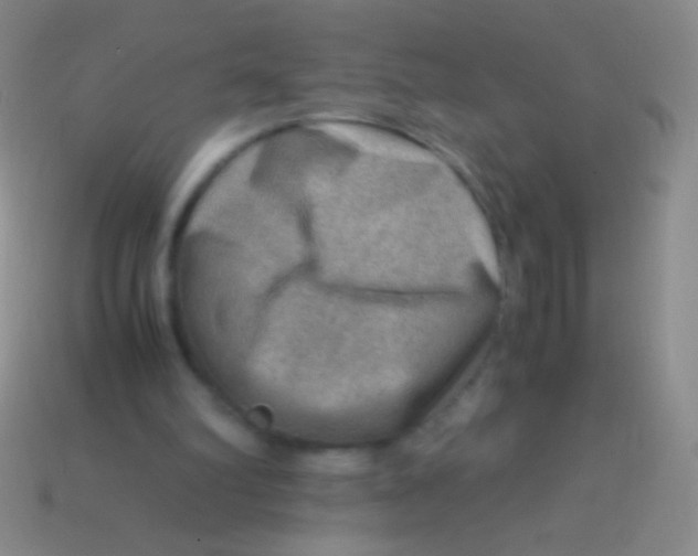 X0000113590102200910161852