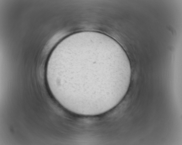 X0000113590103200910161852