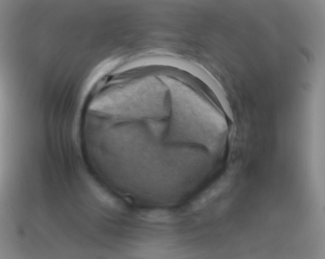 X0000113590104200910161852