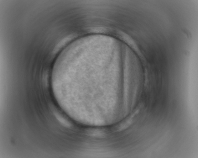 X0000113590106200910161852